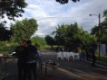 /album/somos-uno-goascoran/a12226598-1707230489488311-1559336266-n-jpg/